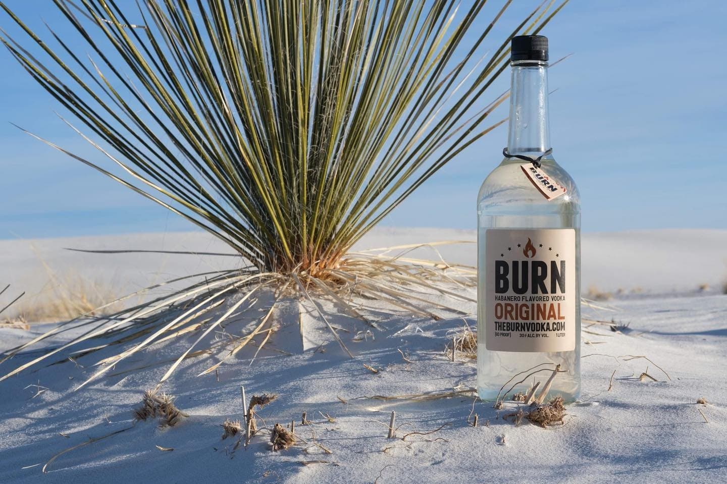 BURN Original among the sunlit sand and desert plants